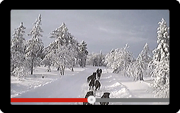 Screen showing a video of a Dog Sled Race